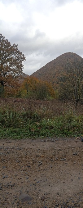 Земельна ділянка в курортному містечку Шаян Хуст - зображення 4