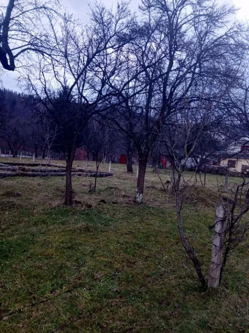 Продам участок на Прикарпатті Черновцы - изображение 4