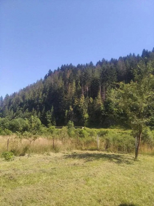 Унікальна можливість придбати дві ділянки з виходом до річки Прут Яремче - изображение 1