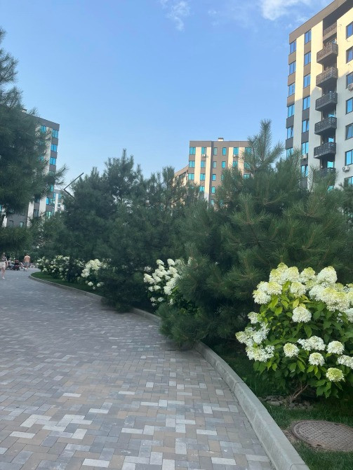 Здам квартиру Київ - зображення 7