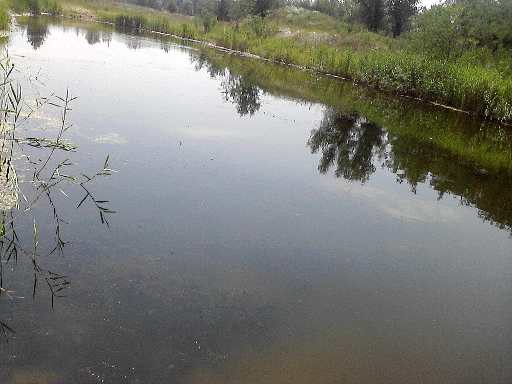 Продам Земельный Участок Днепродзержинск - изображение 6