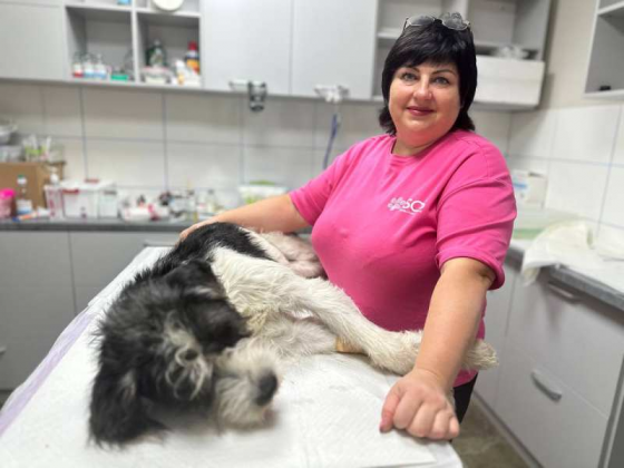 Ветклініка "Sos" - доступна допомога тваринам Харків