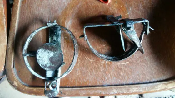 пастки для відлову гризунів Винница