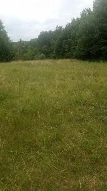 Земельна ділянка 44 сотки під лісом біля парку «Гуцульщина» Косів - зображення 2