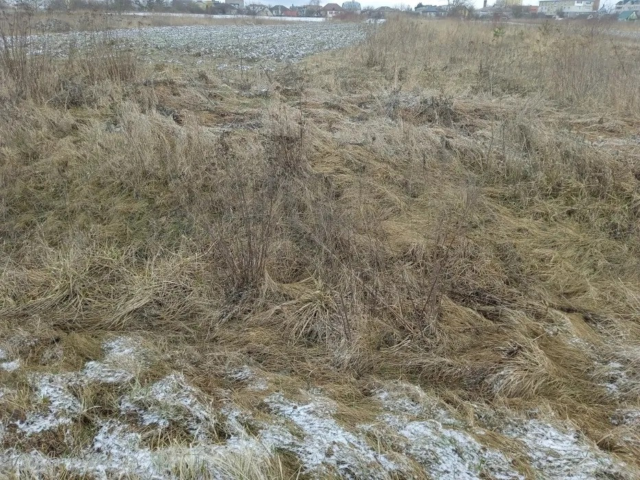 Продаж або оренда земельної ділянка біля м. Кременець Кременець - зображення 3