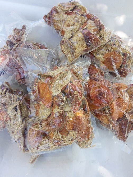 Мухомор червоний 2024 Черкаси - зображення 8