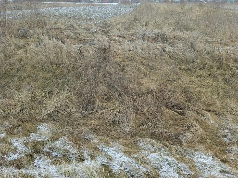 Продаж або оренда земельної ділянка біля м. Кременець Кременець - зображення 1