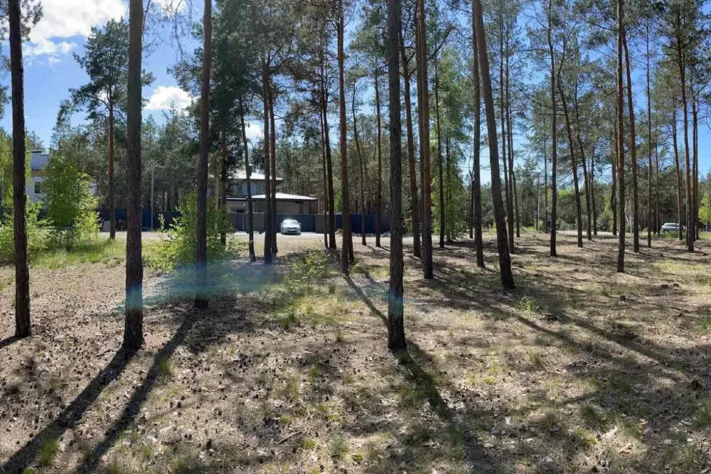 Ділянка під будівництво 34 сотки з лісом Вишгород - зображення 2