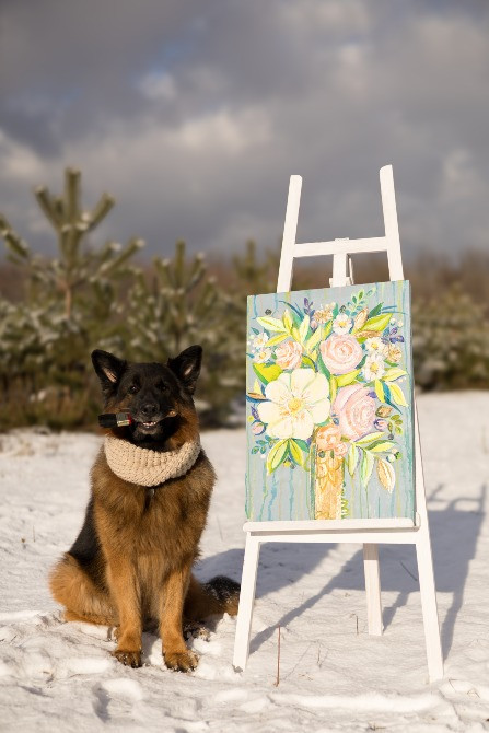 Фотограф Черкаси Черкаси - зображення 4