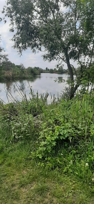 Земельный участок под застройку Київ - зображення 4