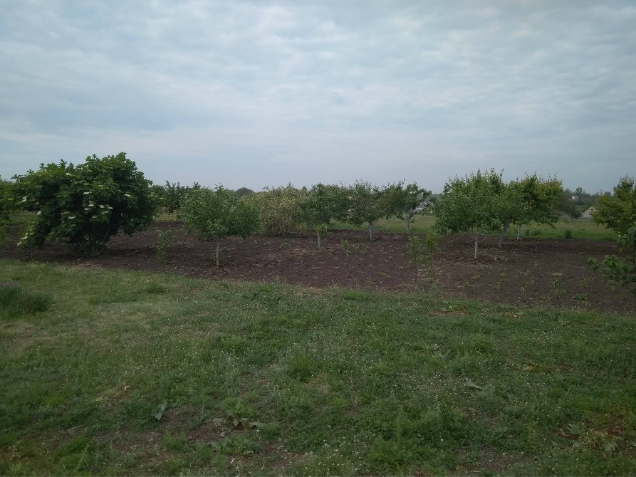 Земельна ділянка 25 соток, 12 км від м.Кривий Ріг Кривий Ріг - зображення 2