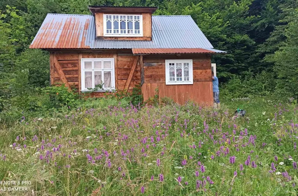 Продам приватизовану земельну ділянку в Карпатах, с. Прокурава Косов - изображение 4