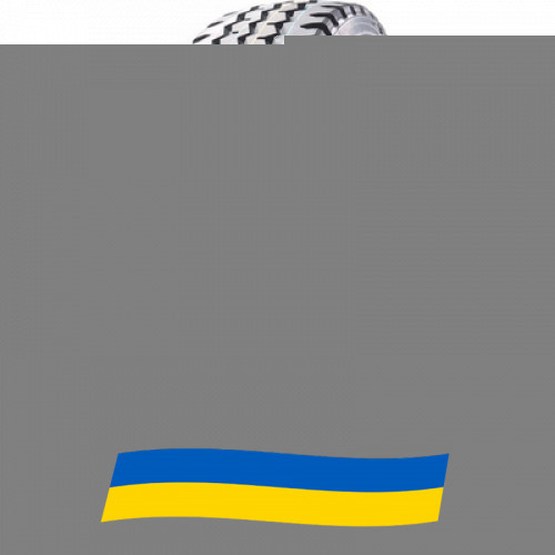 8.25 R20 Tuneful XR818 139/137K Универсальная шина Київ - зображення 2