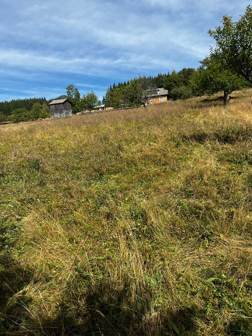 Продаж земельної ділянки 80 соток у Карпатах – с. Ільці, Верховинський Ивано-Франковск - изображение 4