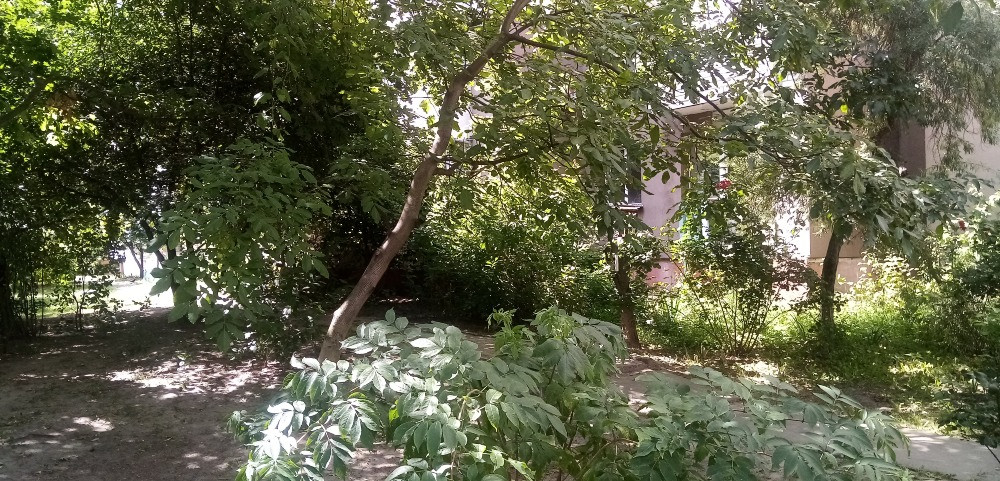 Унікальна 5 кімнатна. Торг Київ - зображення 9