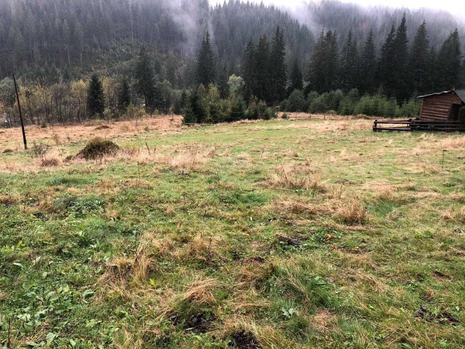 Продається унікальна земельна ділянка у с. Вишків, Калуський район Калуш - изображение 2
