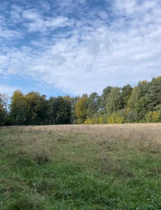 Земельна ділянка 1, 2 Га поруч з Брюховичами Львов - изображение 12