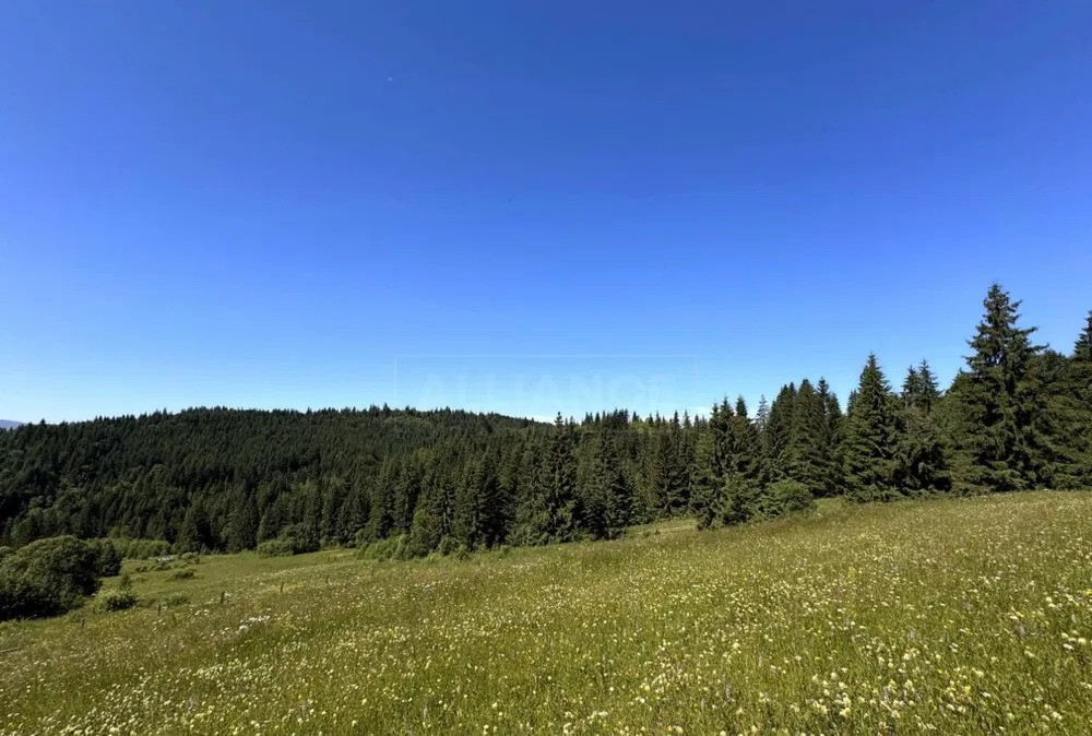 Продається мальовнича земельна ділянка у селі Яблуниця Яремче - зображення 2