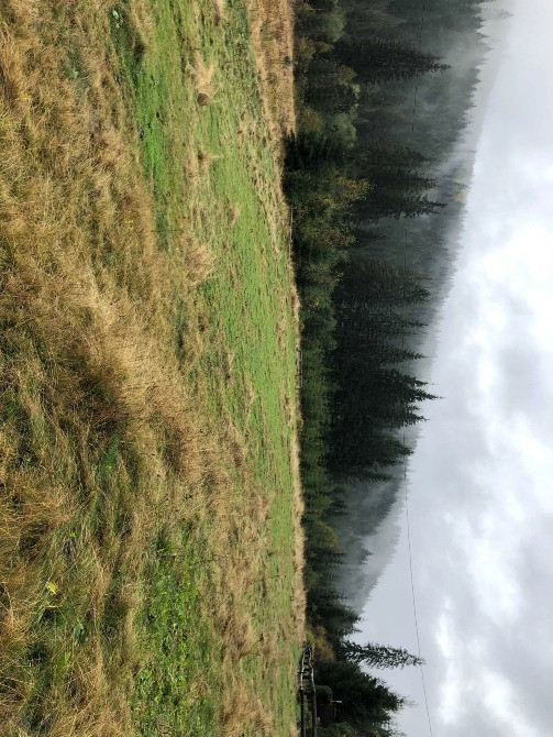 Продається унікальна земельна ділянка у с. Вишків, Калуський район Калуш - изображение 8