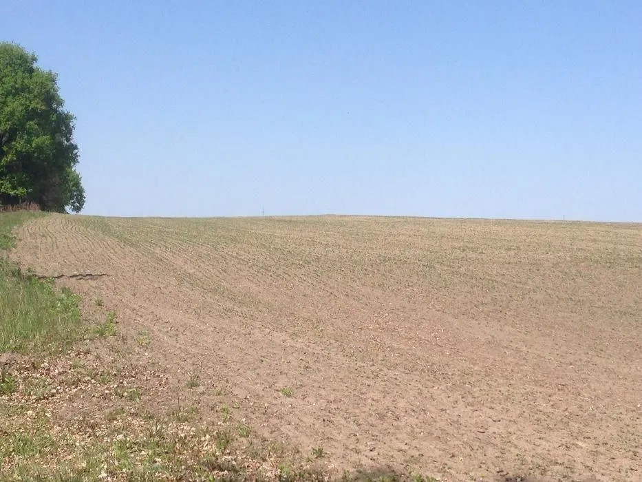 Продаж земельної ділянки 2, 4601 га, с. Ситняки, Макарівський р-н Макаров - изображение 10