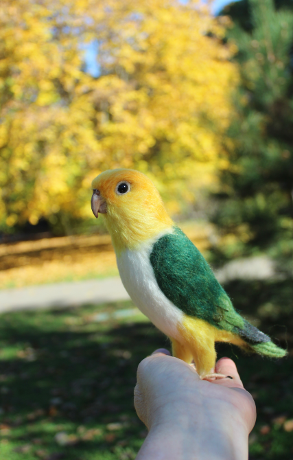 Попугай Каик іграшка валяна з шерсті войлочний папуга ручної роботи п Одеса - зображення 5