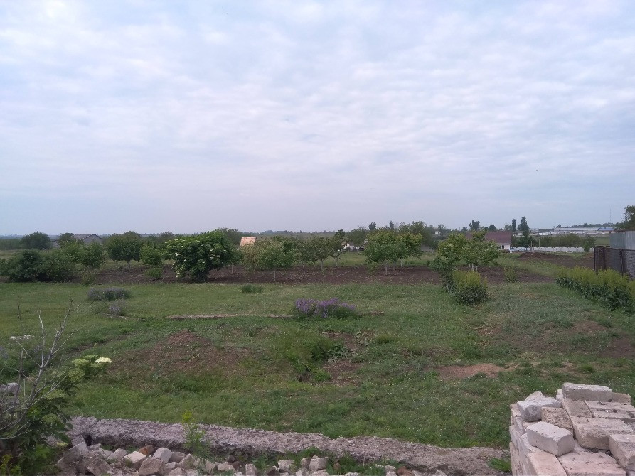 Земельна ділянка 25 соток, 12 км від м.Кривий Ріг Кривий Ріг - зображення 4