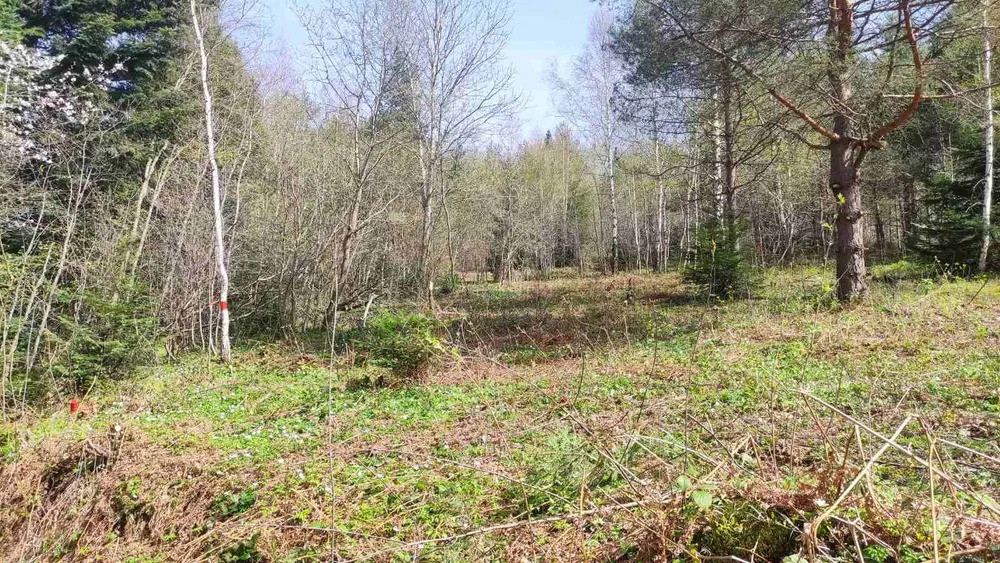 Продам земельну ділянку в м. Східниця під забудову — 9 сотих Борислав - изображение 9