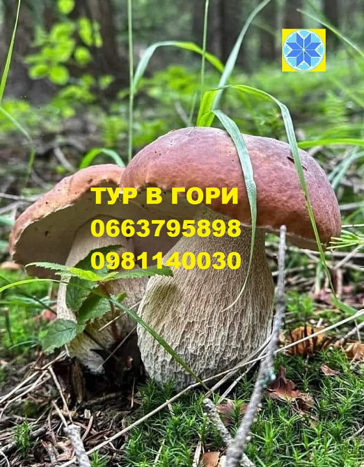 екскурсовод, гід по карпатах Яремче - зображення 6