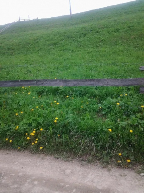 Продам земельну ділянку Яблуниця Яремче - зображення 2