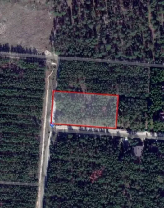 Ділянка під будівництво 34 сотки з лісом Вишгород - зображення 5