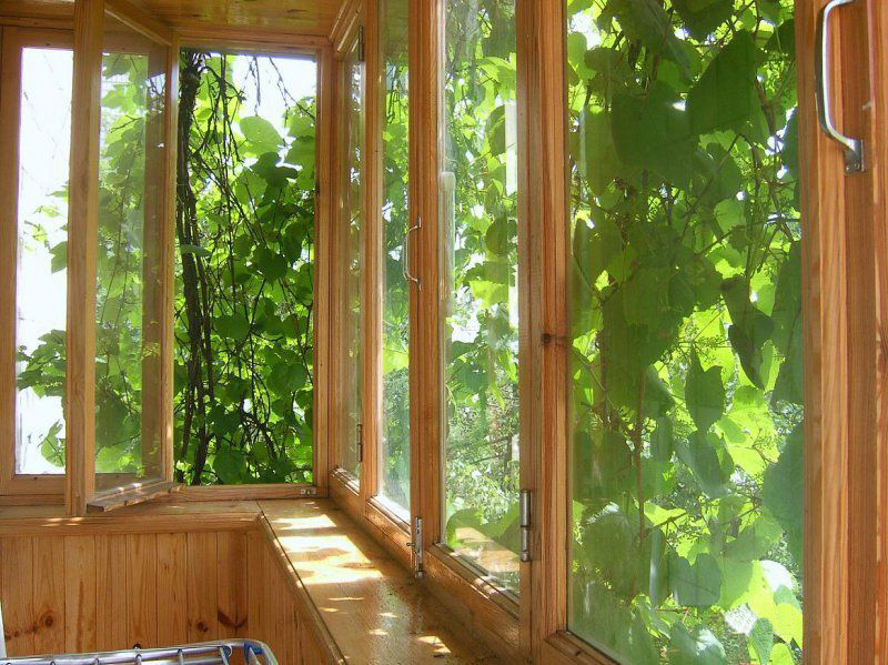 Снять 4-комнатную квартиру в Киеве. Центр. Метро Печерская, посуточно Киев - изображение 8