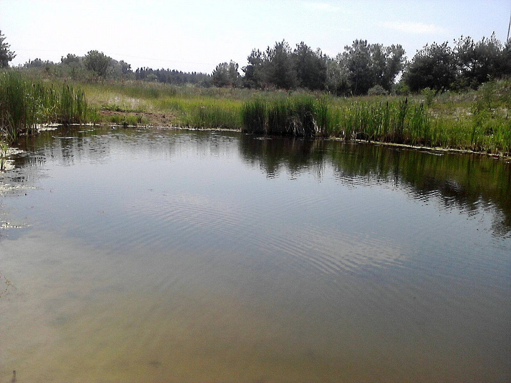 Продам Земельный Участок Днепродзержинск - изображение 5