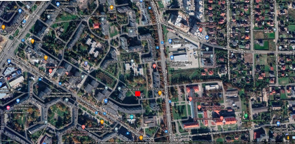 Продаж капітального гаражного приміщення по пр. Молоді Луцьк - зображення 8