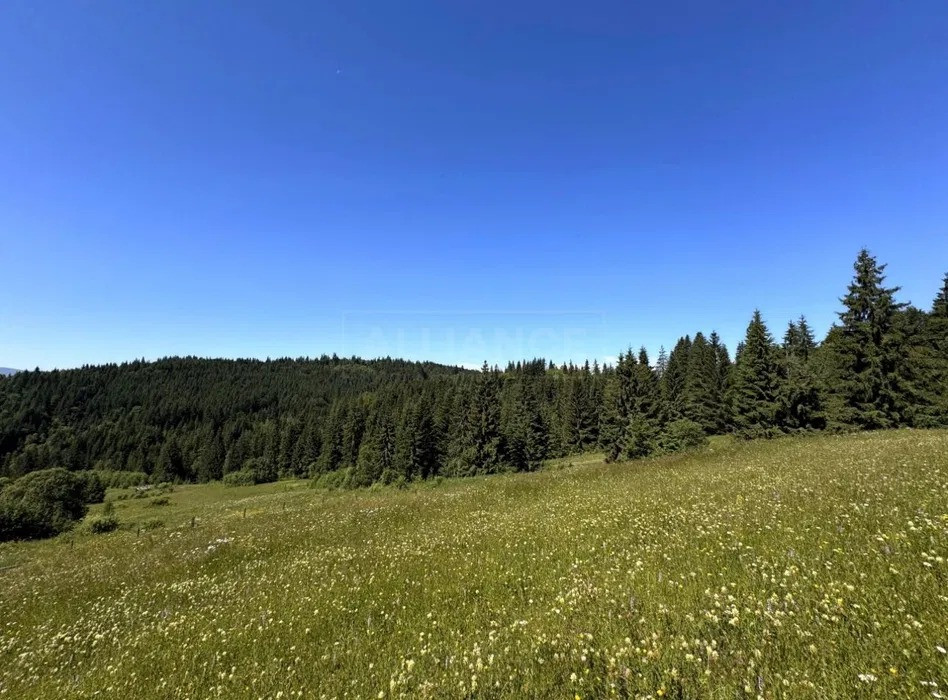 Продається мальовнича земельна ділянка у селі Яблуниця Яремче - зображення 4