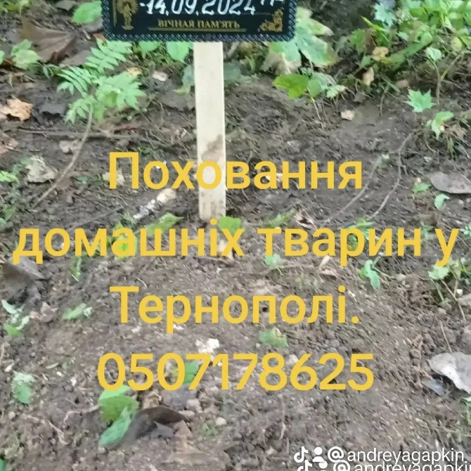 Поховання домашніх тварин у м. Тернопіль Тернопіль - зображення 1