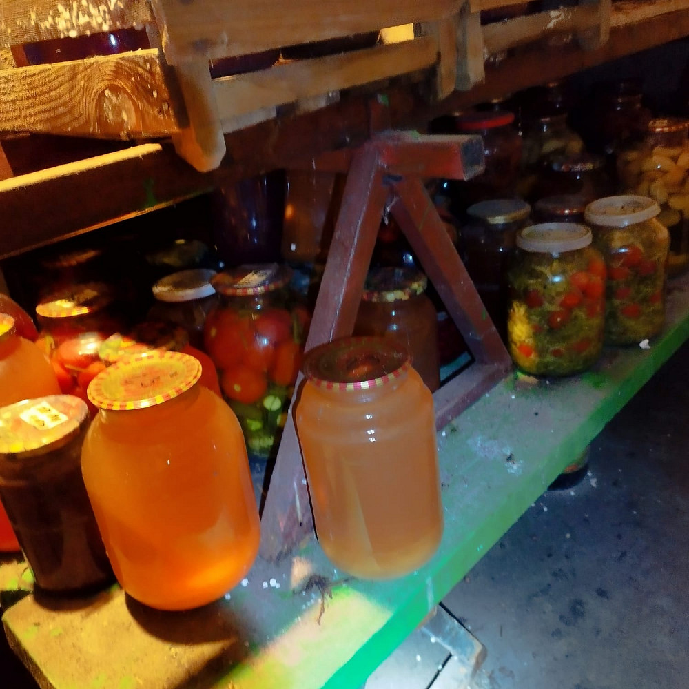 Великий вибір різноманітних вітамінів із нашого льоху на Ваш стіл Киев - изображение 3