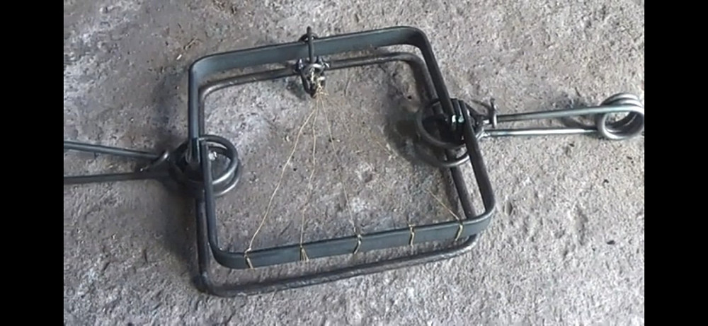 Капкан кп 250, кп320.на бобра, видру, борсука Київ - зображення 2