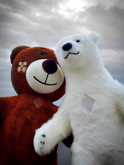 Белый медведь аниматор Винница, Гнивань, Липовец, Литин, Хмельник, Летичев Винница - изображение 3