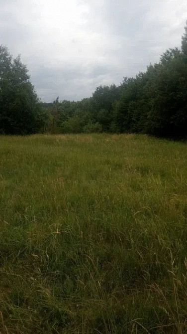 Земельна ділянка 44 сотки під лісом біля парку «Гуцульщина» Косів - зображення 7