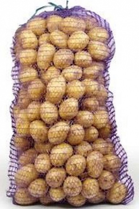 Продам картоплю Рогатин - зображення 3