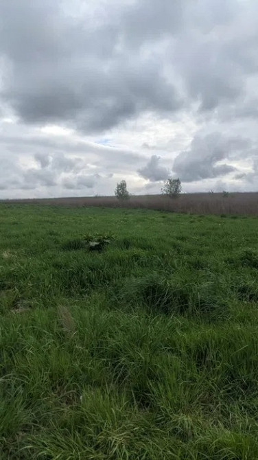 Земельна ділянка 10 сот. Гамаліївка Львов - изображение 4