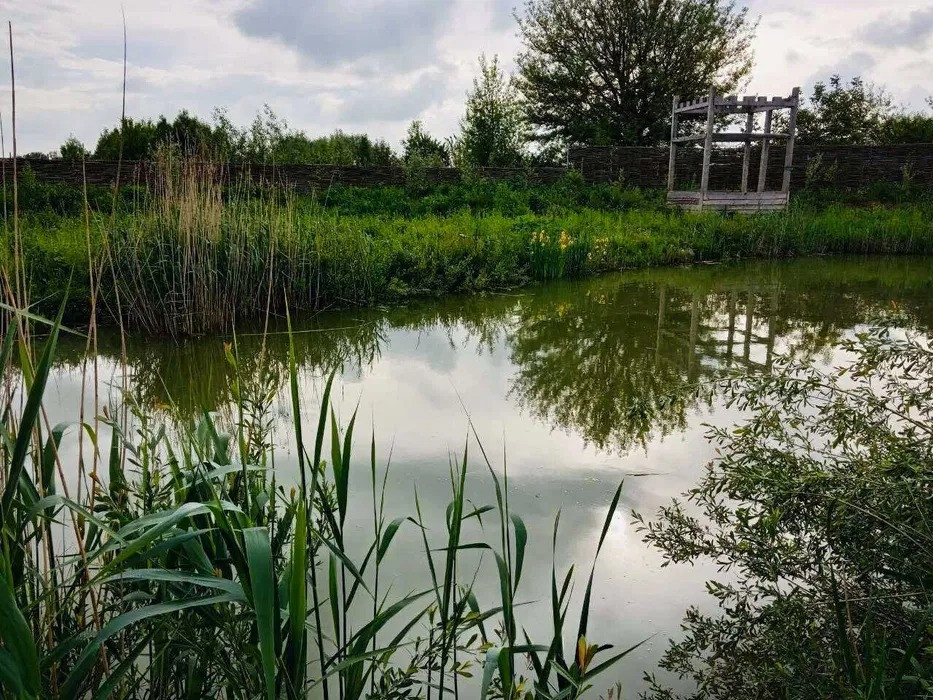 Продам перспективну нерухомість поруч Луцька Луцьк - зображення 8