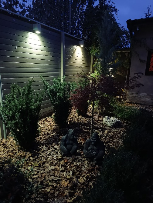 Садівник Одеса - зображення 5