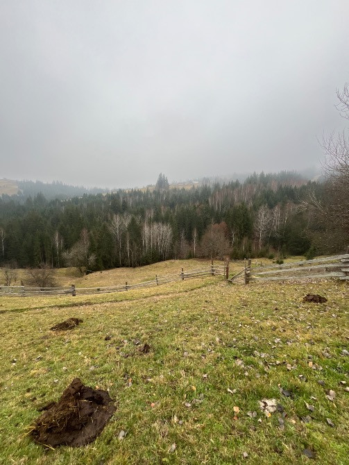 продається будинок з господарством Ивано-Франковск - изображение 9