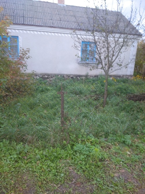 Терміново Радивилів - зображення 4