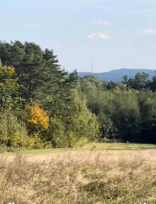 Земельна ділянка 1, 2 Га поруч з Брюховичами Львов - изображение 5