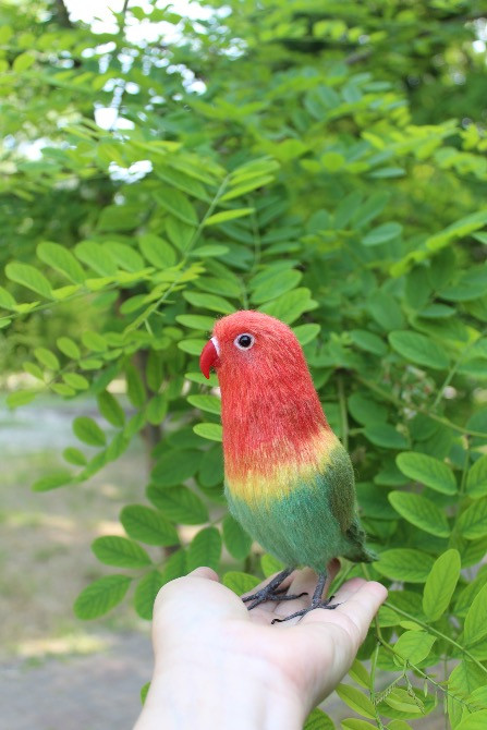 Неразлучник попугай валяна іграшка з шерсті папуга інтерєрєрна игрушка Одеса - зображення 2