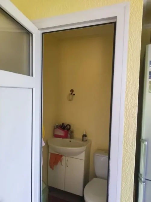 Дом дача очень классная Овідіополь - зображення 4