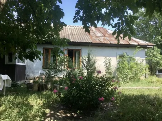 Продам будинок з великою ділянкою в с. Пилиповичі Бородянка