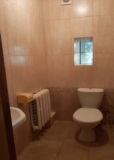 Продам будинок с.Пісківка Буча - зображення 6